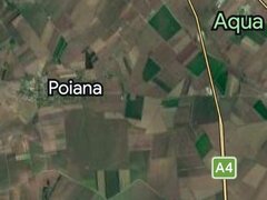 Teren, 10 ha, in jud. Constanta, zona Ovidiu. Ocazie!